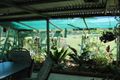 Property photo of 2 Pinta Court Cooloola Cove QLD 4580