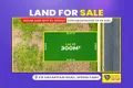 Property photo of 215 Macarthur Road Spring Farm NSW 2570