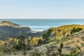 Property photo of 75 Silver Top Crescent Nullica NSW 2551