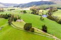 Property photo of 186 Kamona Valley Road Kamona TAS 7260