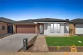 Property photo of 31 Snipe Drive Strathtulloh VIC 3338