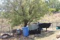 Property photo of 243 Sugarloaf Road Mount Martin QLD 4754