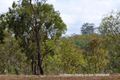 Property photo of 87 Carbeen Road Walkamin QLD 4872