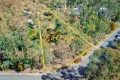Property photo of 9 Christensen Street Sawmill Settlement VIC 3723