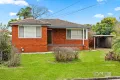 Property photo of 6 Berg Street Blacktown NSW 2148
