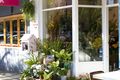 Property photo of 15/170 Nelson Street Annandale NSW 2038