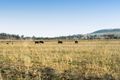 Property photo of 202 Allen Road East Greenmount QLD 4359