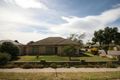 Property photo of 13 Lorraine Avenue Lockleys SA 5032