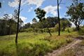 Property photo of 231 Paynters Creek Road Rosemount QLD 4560