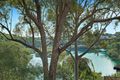 Property photo of 5 The Crescent Linley Point NSW 2066