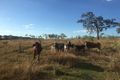 Property photo of 181 Daisy Dell Road Bororen QLD 4678