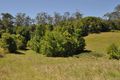 Property photo of 427 North Arm Road Argents Hill NSW 2449