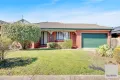 Property photo of 60 Pecks Road Sydenham VIC 3037