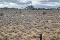 Property photo of 27 Buckland Park Road Two Wells SA 5501