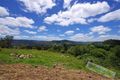 Property photo of 84 Toe Holt Road Witheren QLD 4275