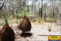 Property photo of 215 Basil Drive Forest Ridge QLD 4357