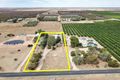 Property photo of 240 Vasey Road Waikerie SA 5330