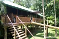 Property photo of 3198 Mossman Daintree Road Daintree QLD 4873