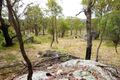 Property photo of 70 Old Mill Road Tingha NSW 2369