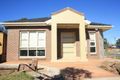 Property photo of 35 Grampian Avenue Minto NSW 2566