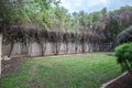 Property photo of 10 Kalastaire Grove Berwick VIC 3806