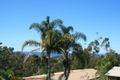 Property photo of 111 Merimbula Drive Merimbula NSW 2548