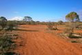 Property photo of 11366 Thiele Highway Morgan SA 5320