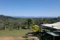 Property photo of 31 Kode Road Carmoo QLD 4852