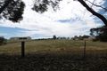 Property photo of 37 Cronin Street Jamestown SA 5491