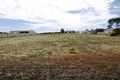 Property photo of 37 Cronin Street Jamestown SA 5491