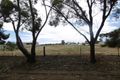 Property photo of 37 Cronin Street Jamestown SA 5491