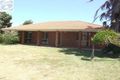 Property photo of 28 Kultown Drive Waggrakine WA 6530