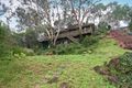 Property photo of 2B Station Street Fairfield VIC 3078