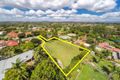 Property photo of 80 McCallum Street Carseldine QLD 4034