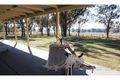 Property photo of 79 Cricket Road Regency Downs QLD 4341