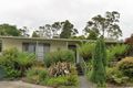 Property photo of 4 Sparkes Court Foster VIC 3960
