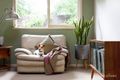 Property photo of 209 Pitt Street Eltham VIC 3095