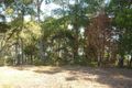 Property photo of 95 Botanical Circuit Banora Point NSW 2486