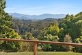 Property photo of 140 Nolans Road Stokers Siding NSW 2484
