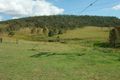 Property photo of 910 Boonah-Rathdowney Road Wallaces Creek QLD 4310
