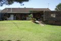 Property photo of 8 Male Road Mannum SA 5238