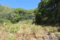 Property photo of 135 Ross Road Evelyn QLD 4888