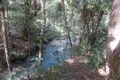 Property photo of 135 Ross Road Evelyn QLD 4888