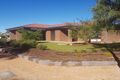 Property photo of 97 Nineteenth Street Renmark SA 5341