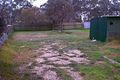 Property photo of 9 George Street St Arnaud VIC 3478