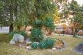 Property photo of 12/19 Lorraine Avenue Bardwell Valley NSW 2207