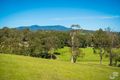 Property photo of 6/81 Wonga Road Narooma NSW 2546