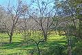 Property photo of 132 Lower Landershute Road Landers Shoot QLD 4555