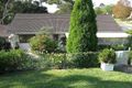 Property photo of 20 Dilke Road Padstow NSW 2211