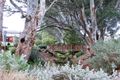 Property photo of 17 Bilyara Road Tanunda SA 5352